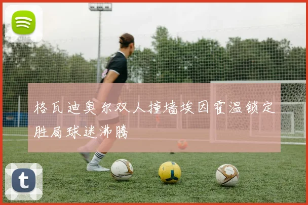 格瓦迪奥尔双人撞墙埃因霍温锁定胜局球迷沸腾