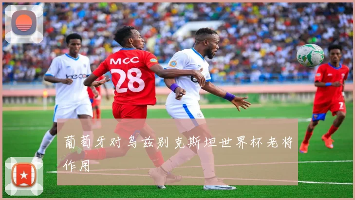 葡萄牙对乌兹别克斯坦世界杯老将作用