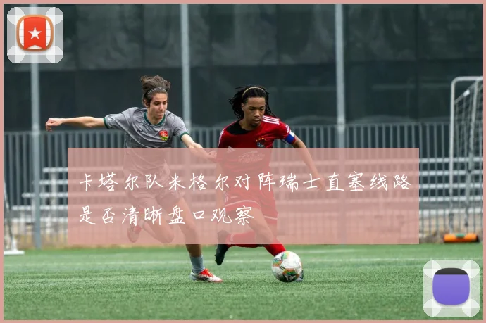 卡塔尔队米格尔对阵瑞士直塞线路是否清晰盘口观察