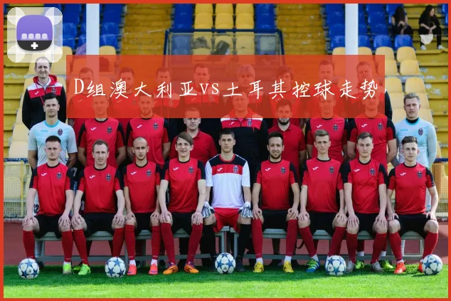 D组澳大利亚vs土耳其控球走势