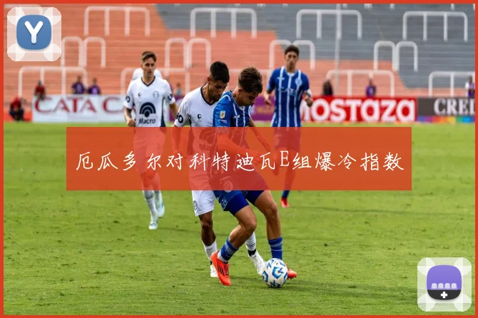 厄瓜多尔对科特迪瓦E组爆冷指数