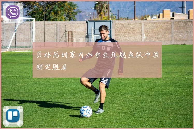 贝林厄姆塞内加尔生死战鱼跃冲顶锁定胜局