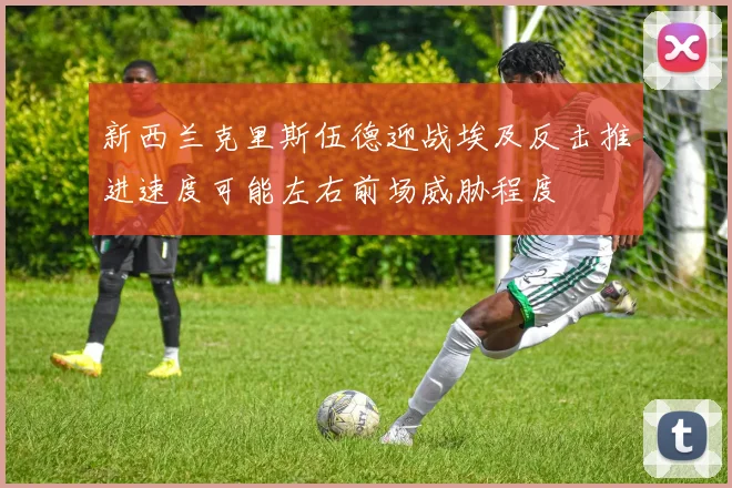 新西兰克里斯伍德迎战埃及反击推进速度可能左右前场威胁程度